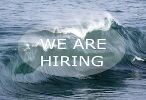 we are hiring